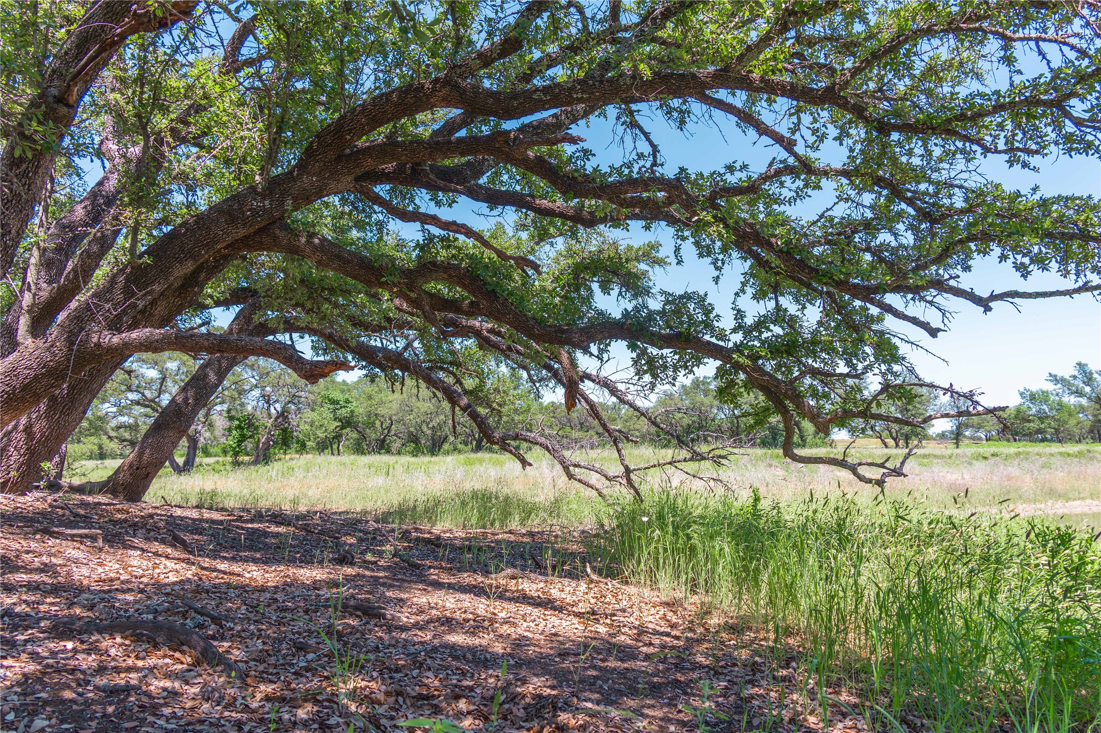 12597 F.m. 2559 Brownwood TX 76801