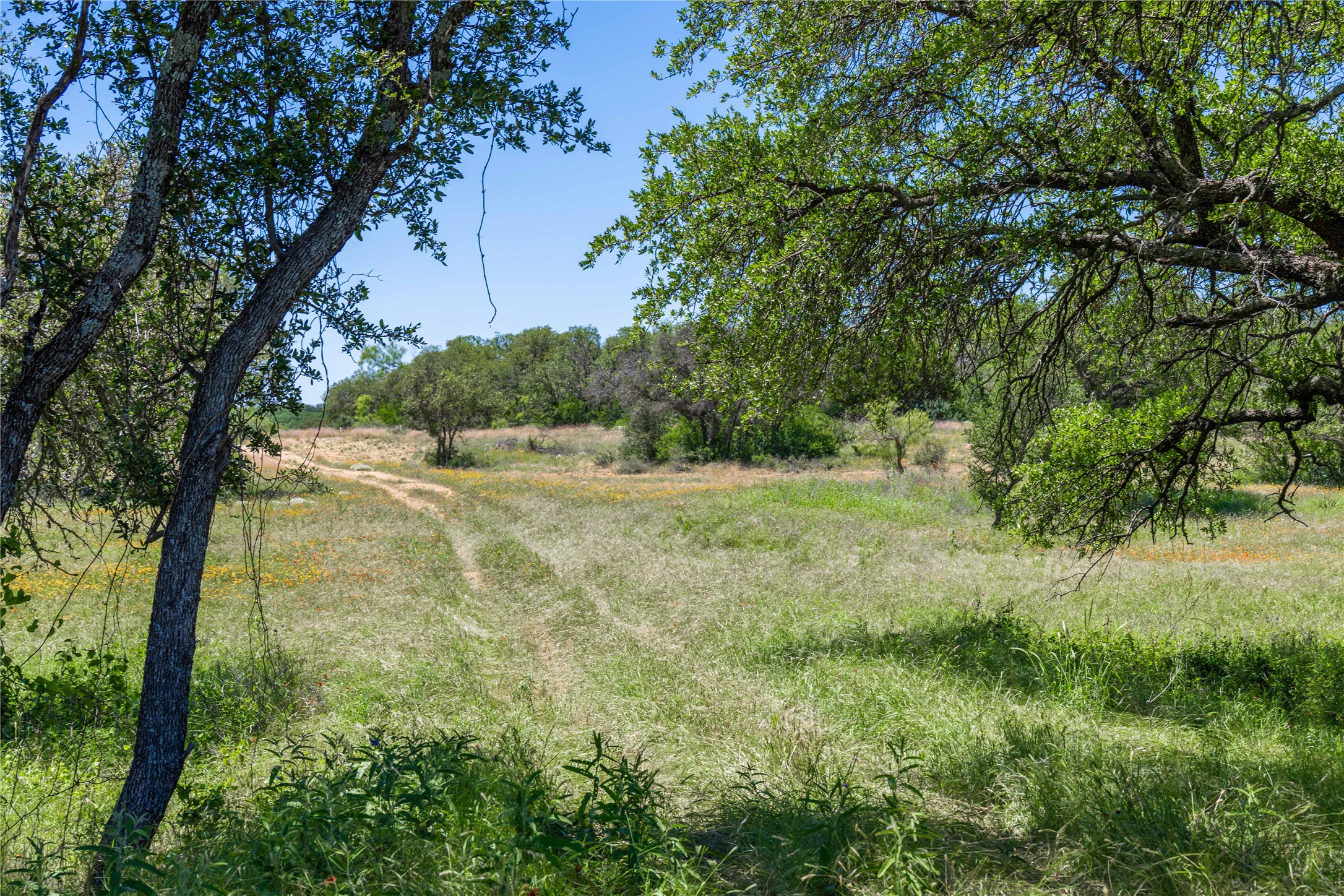 12597 F.m. 2559 Brownwood TX 76801