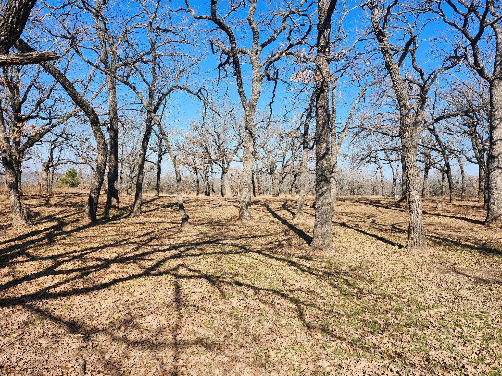 408 Nocona Drive Nocona TX 76255