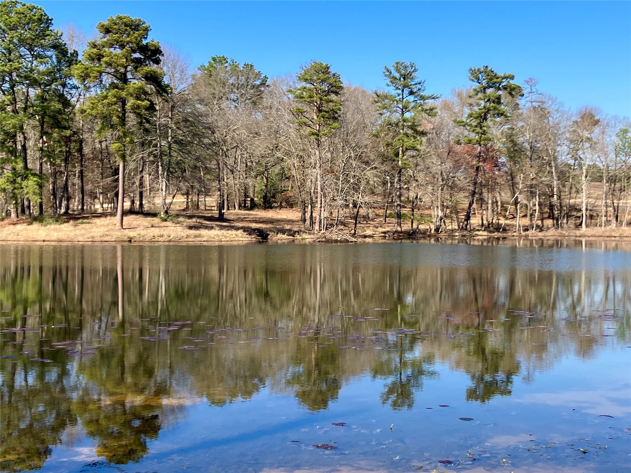 Lot 64 White Oak Creek Ranch Big Sandy TX 75755