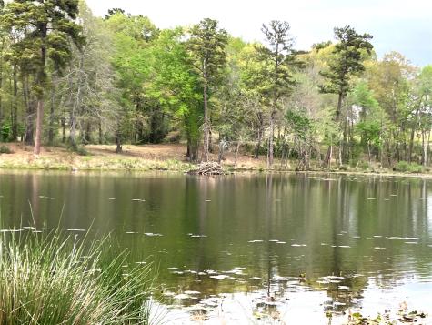Lot 64 White Oak Creek Ranch Big Sandy TX 75755
