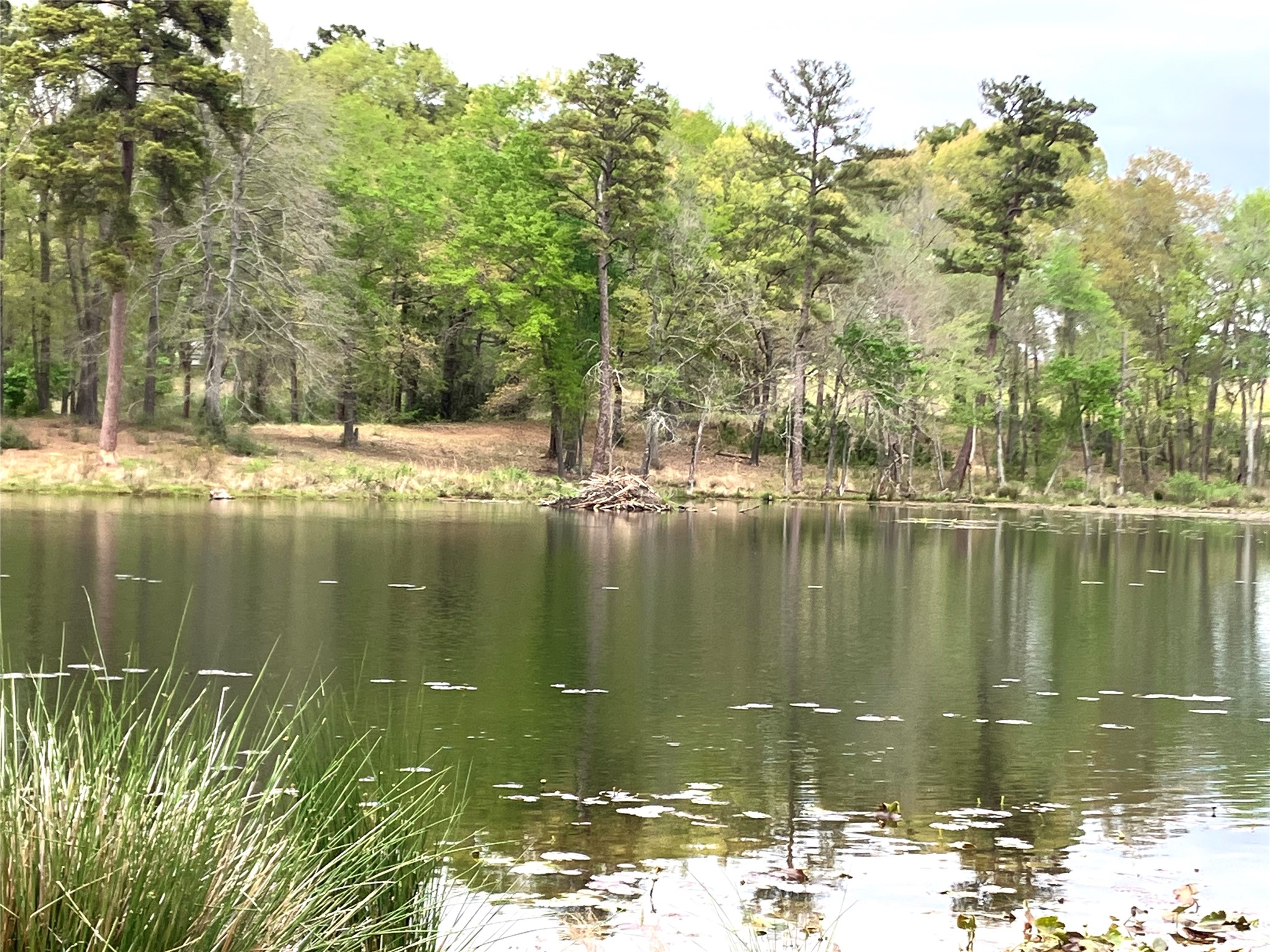 Lot 64 White Oak Creek Ranch Big Sandy TX 75755