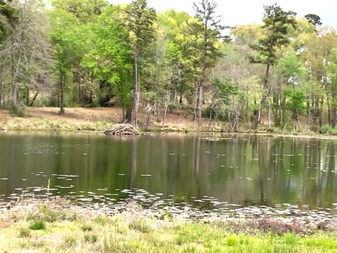 Lot 64 White Oak Creek Ranch Big Sandy TX 75755