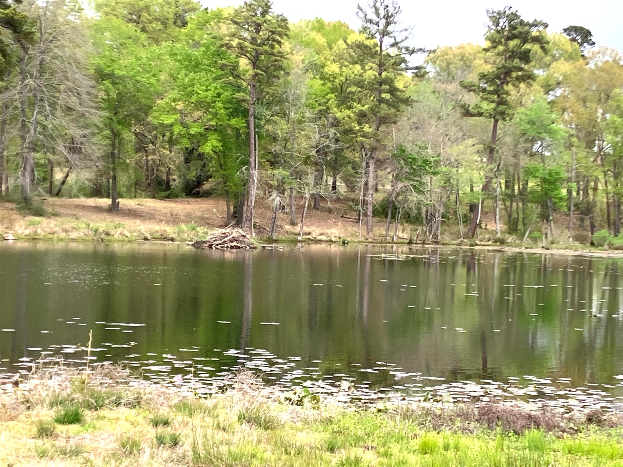 Lot 64 White Oak Creek Ranch Big Sandy TX 75755