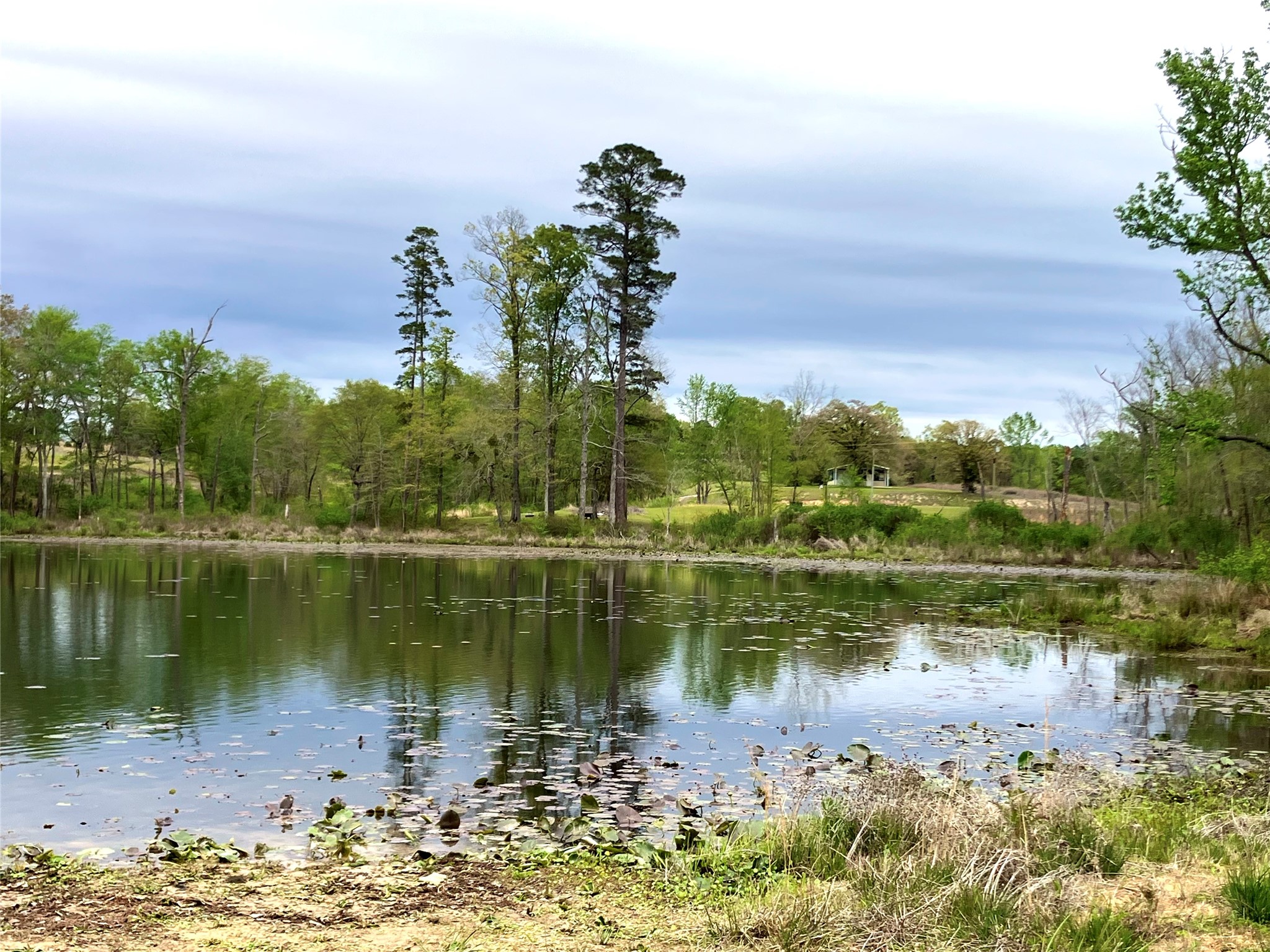 Lot 64 White Oak Creek Ranch Big Sandy TX 75755