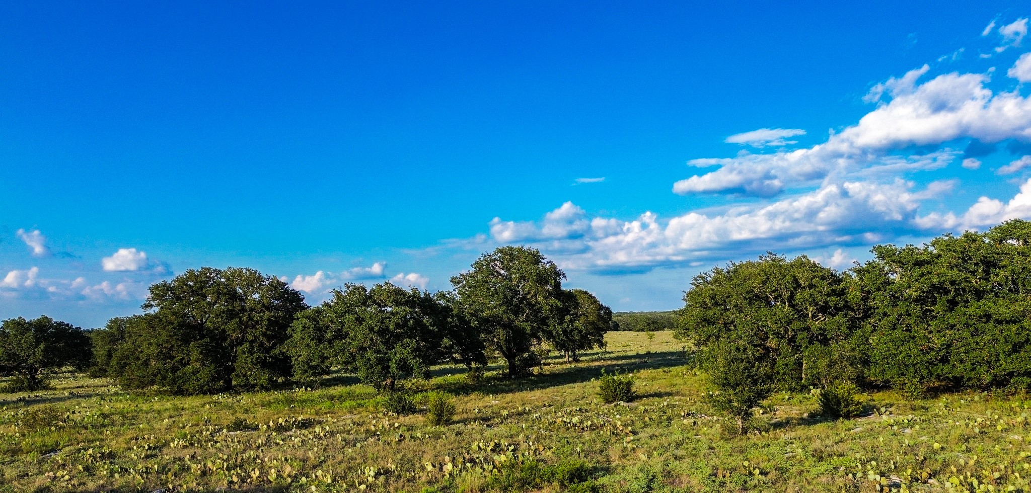 Lot 110 Kudu Court Lampasas TX 76550