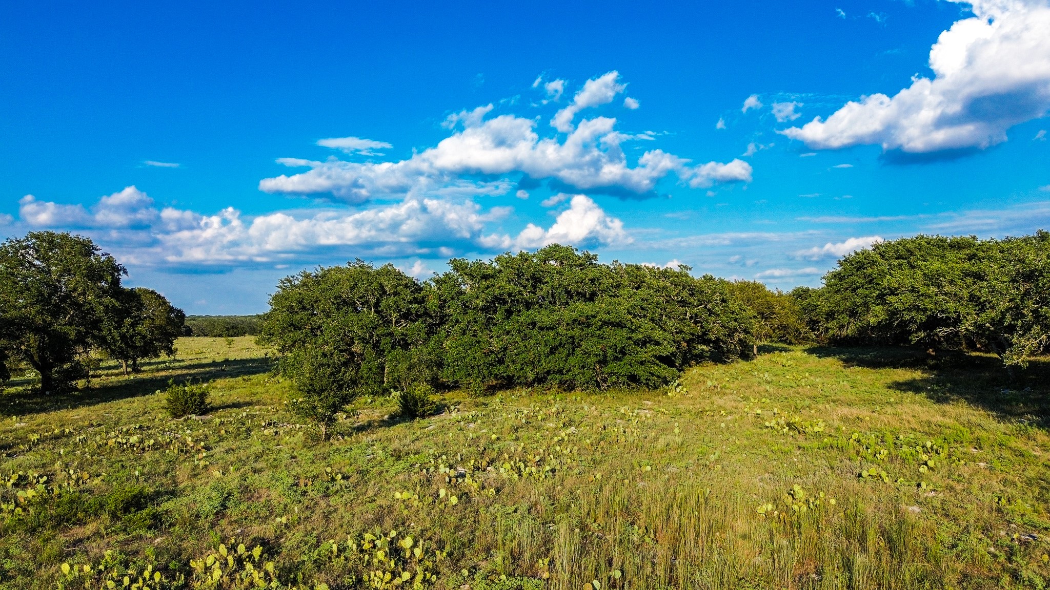 Lot 110 Kudu Court Lampasas TX 76550