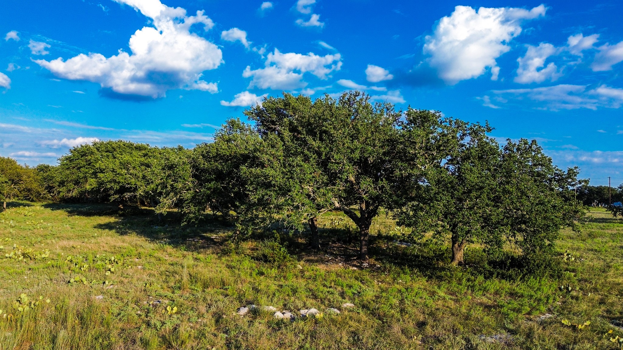 Lot 110 Kudu Court Lampasas TX 76550