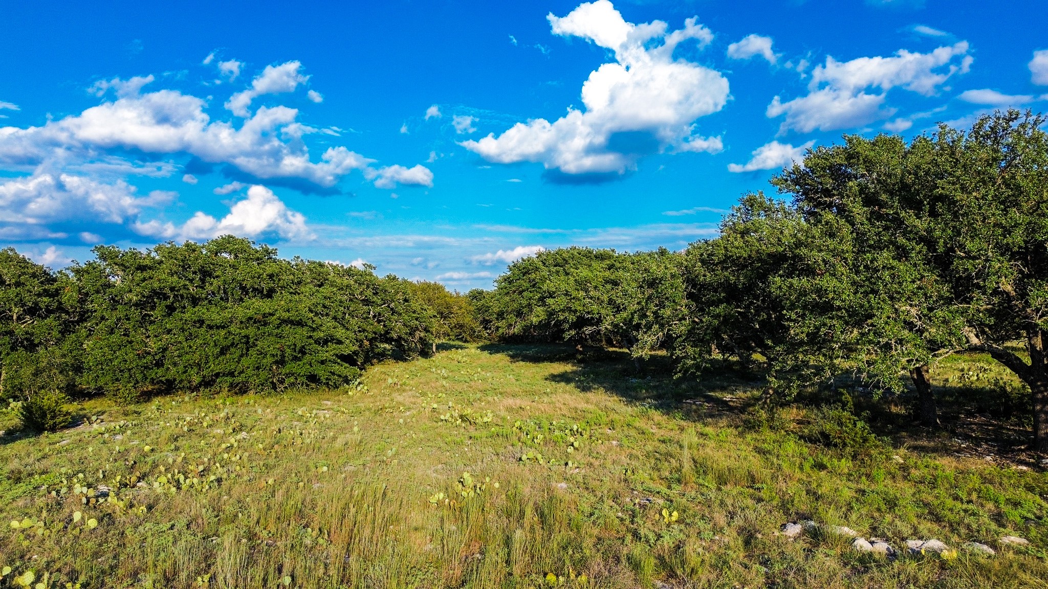 Lot 110 Kudu Court Lampasas TX 76550