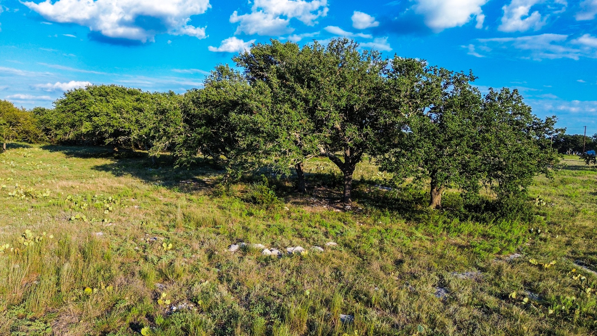 Lot 110 Kudu Court Lampasas TX 76550