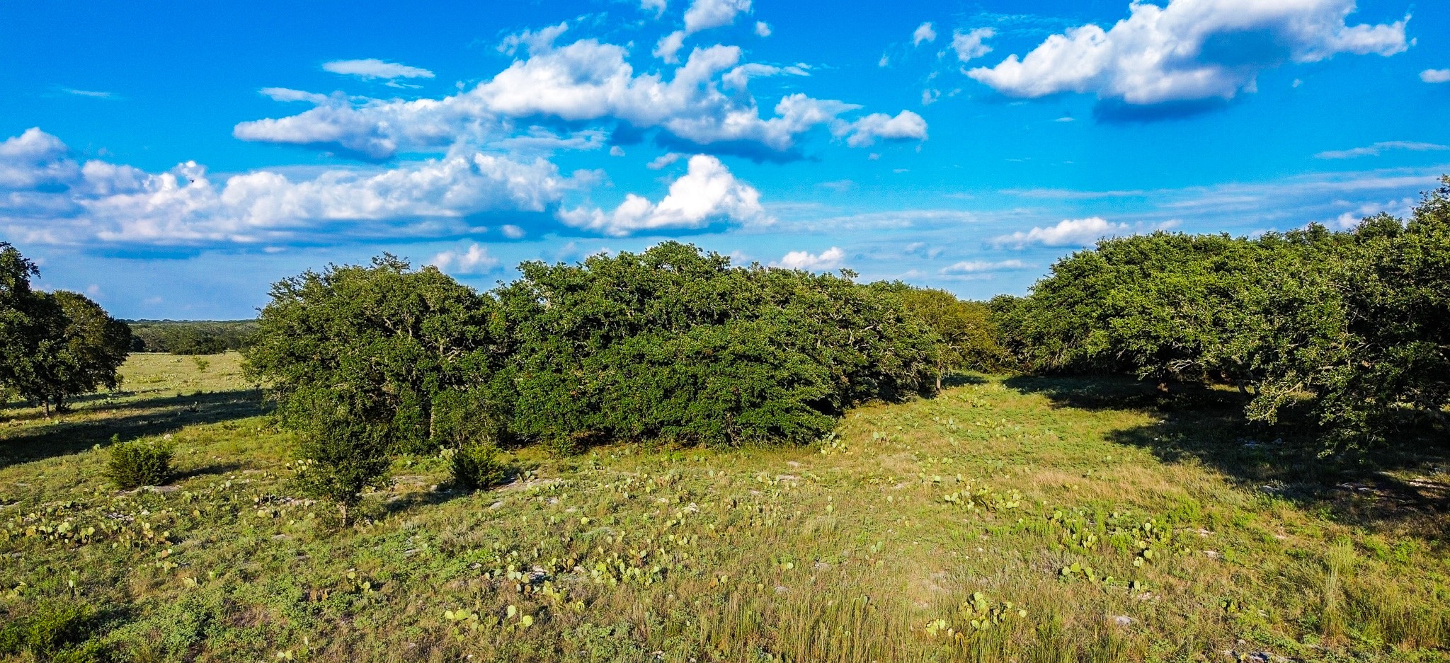 Lot 110 Kudu Court Lampasas TX 76550