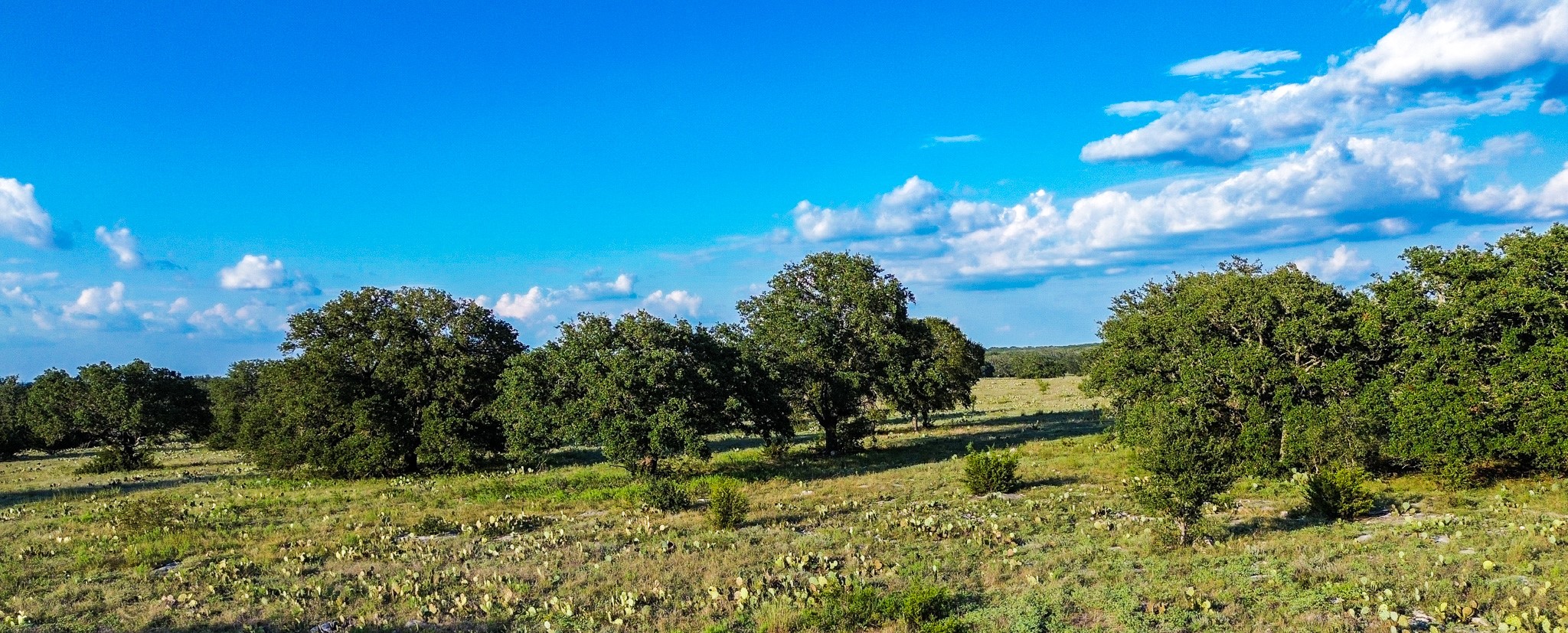 Lot 110 Kudu Court Lampasas TX 76550