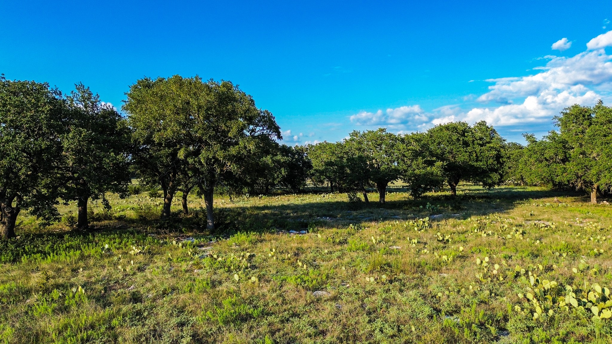 Lot 110 Kudu Court Lampasas TX 76550