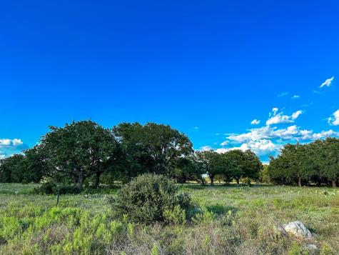 Lot 110 Kudu Court Lampasas TX 76550