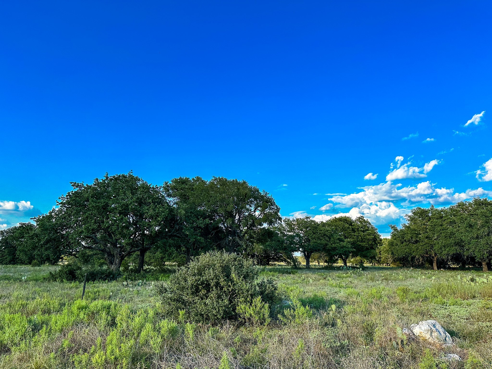 Lot 110 Kudu Court Lampasas TX 76550