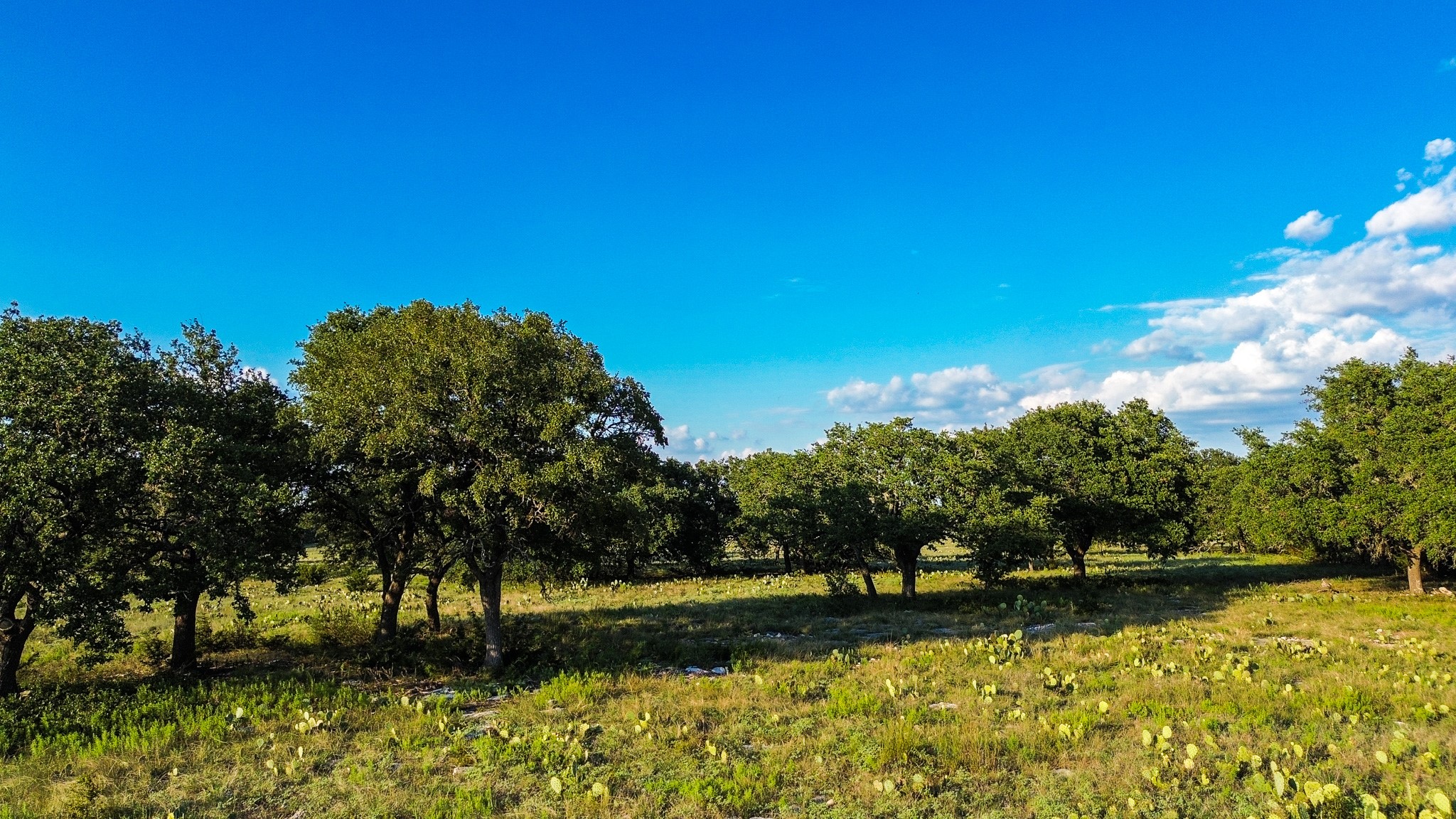 Lot 110 Kudu Court Lampasas TX 76550
