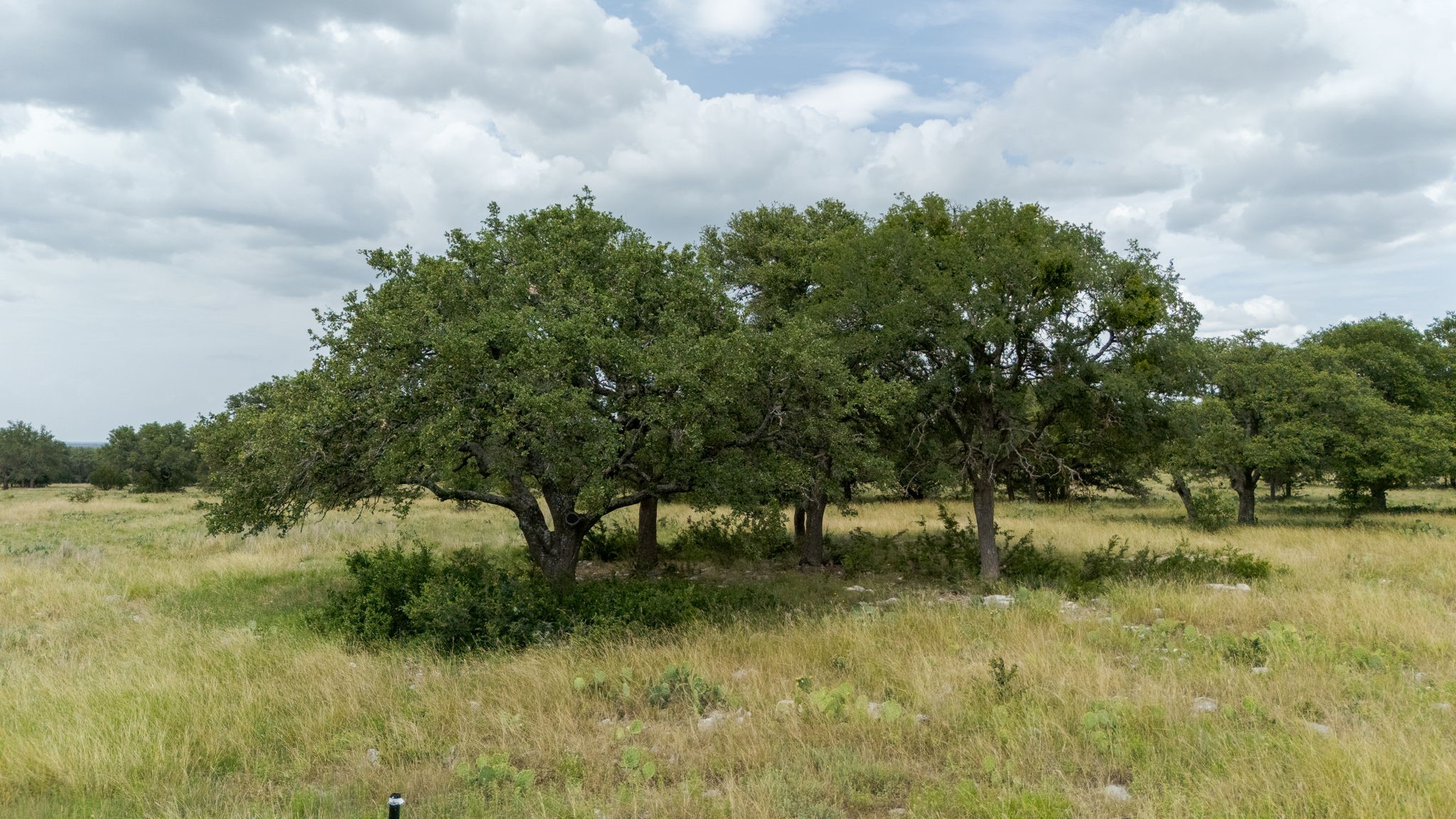 Lot 110 Kudu Court Lampasas TX 76550