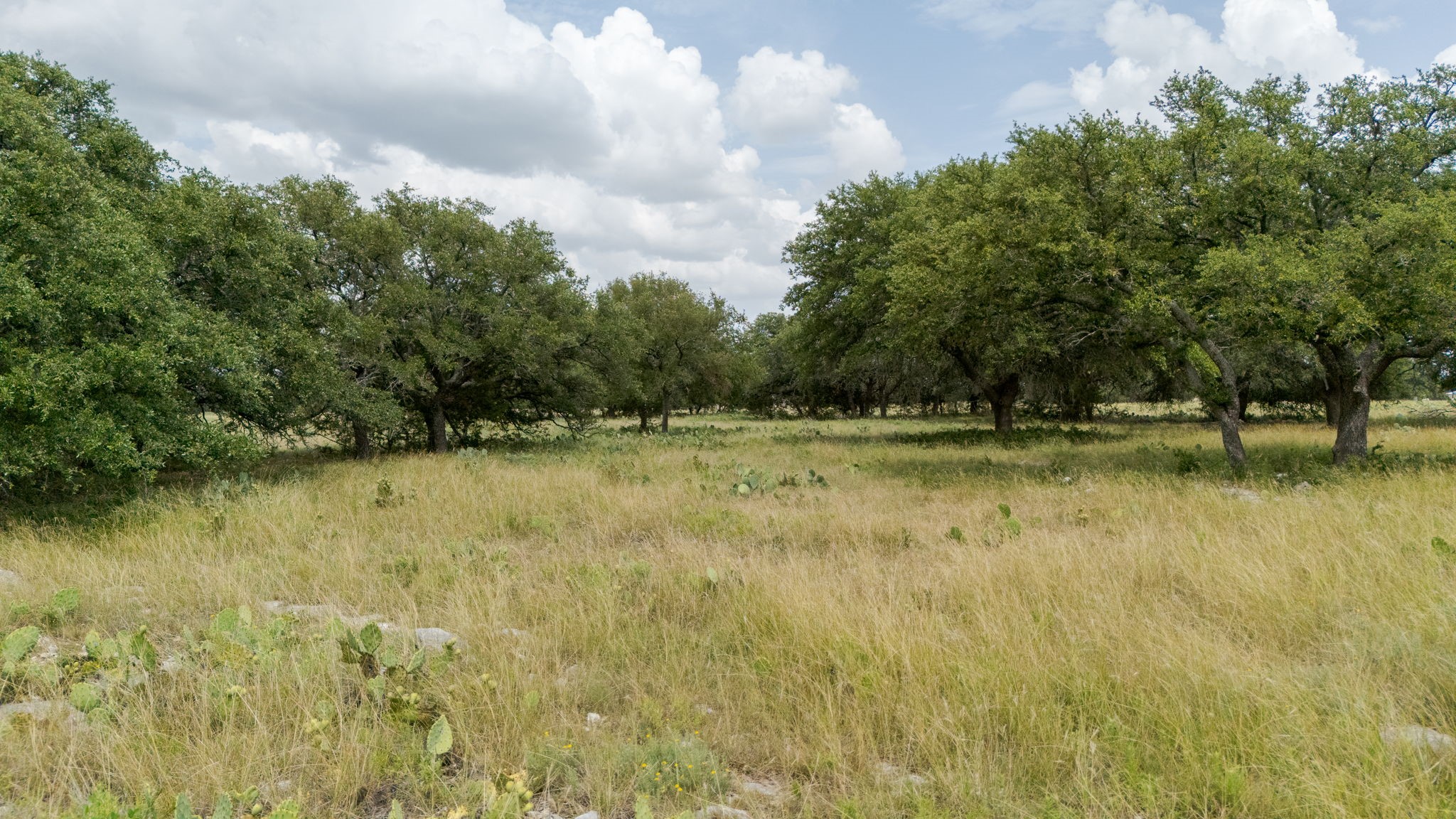 Lot 110 Kudu Court Lampasas TX 76550