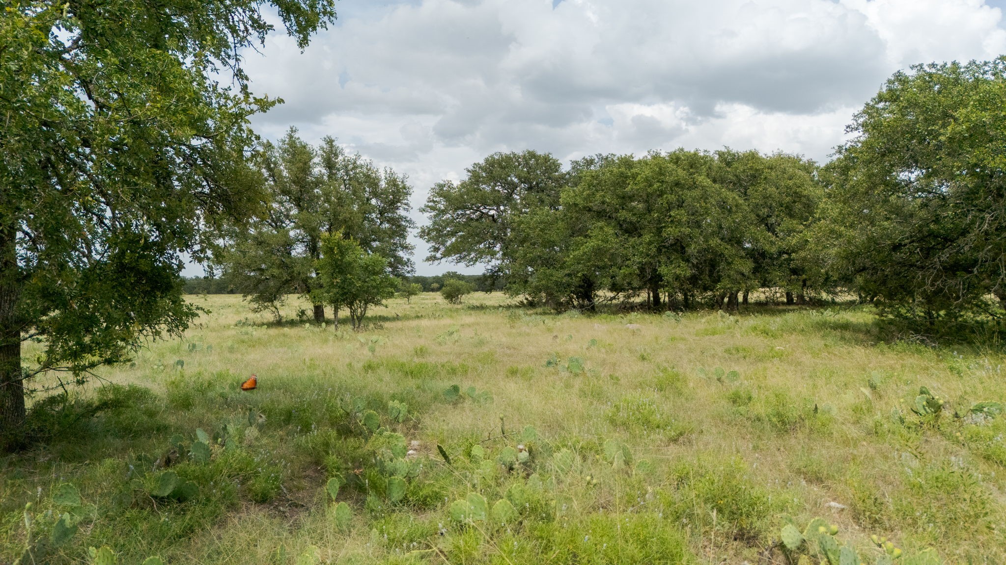 Lot 110 Kudu Court Lampasas TX 76550