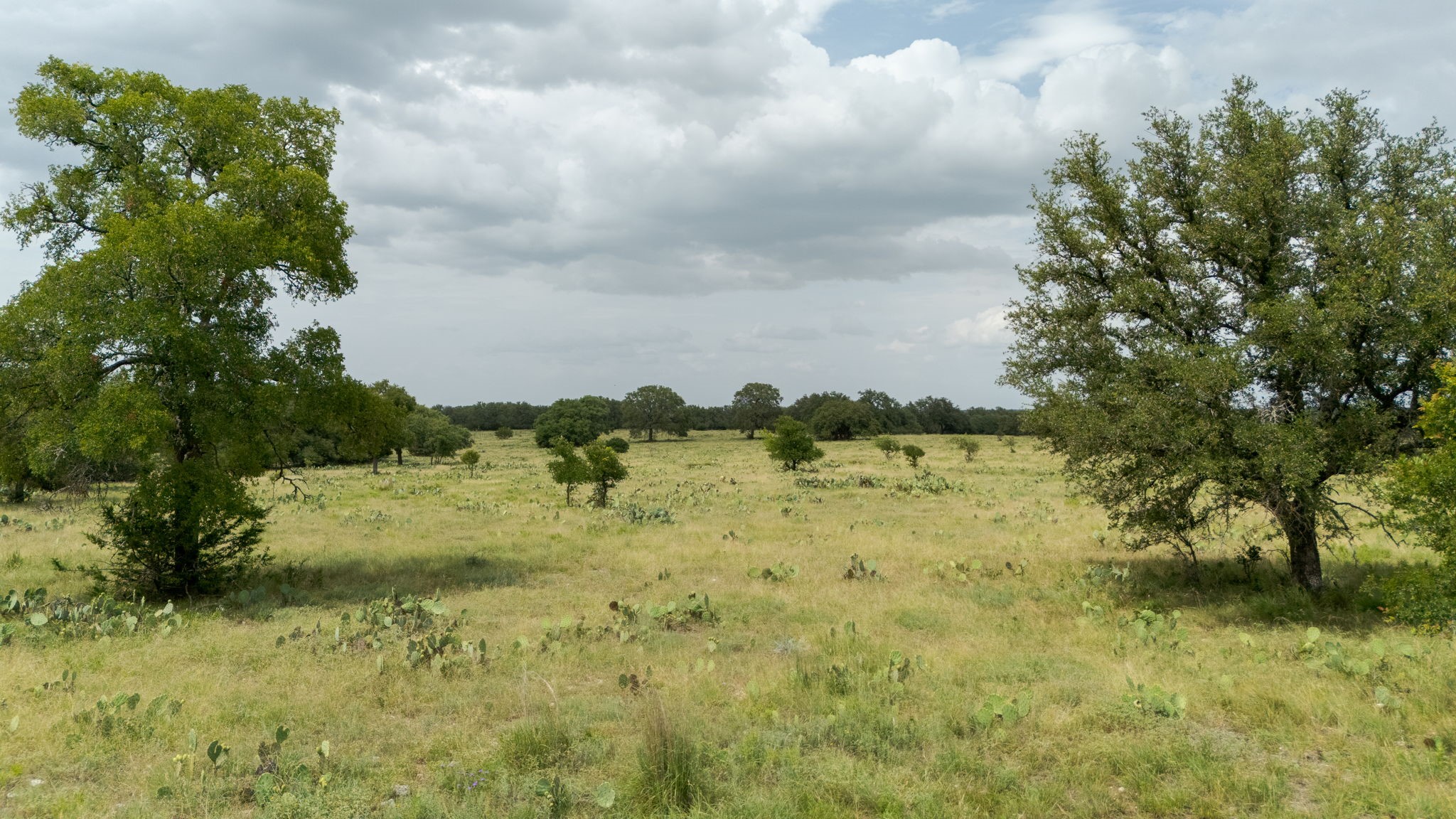 Lot 110 Kudu Court Lampasas TX 76550