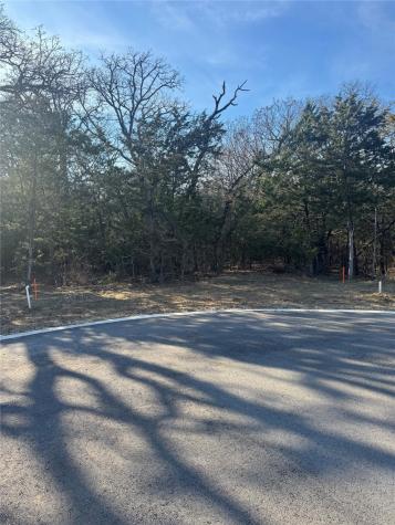 137 Moon Palace Court Gordonville TX 76245