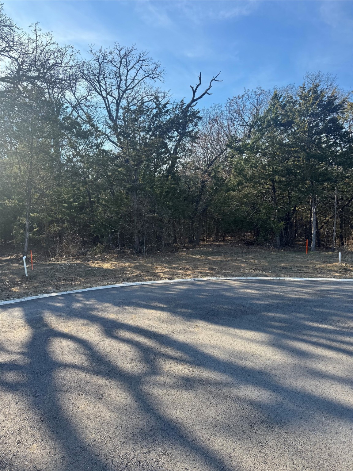 137 Moon Palace Court Gordonville TX 76245