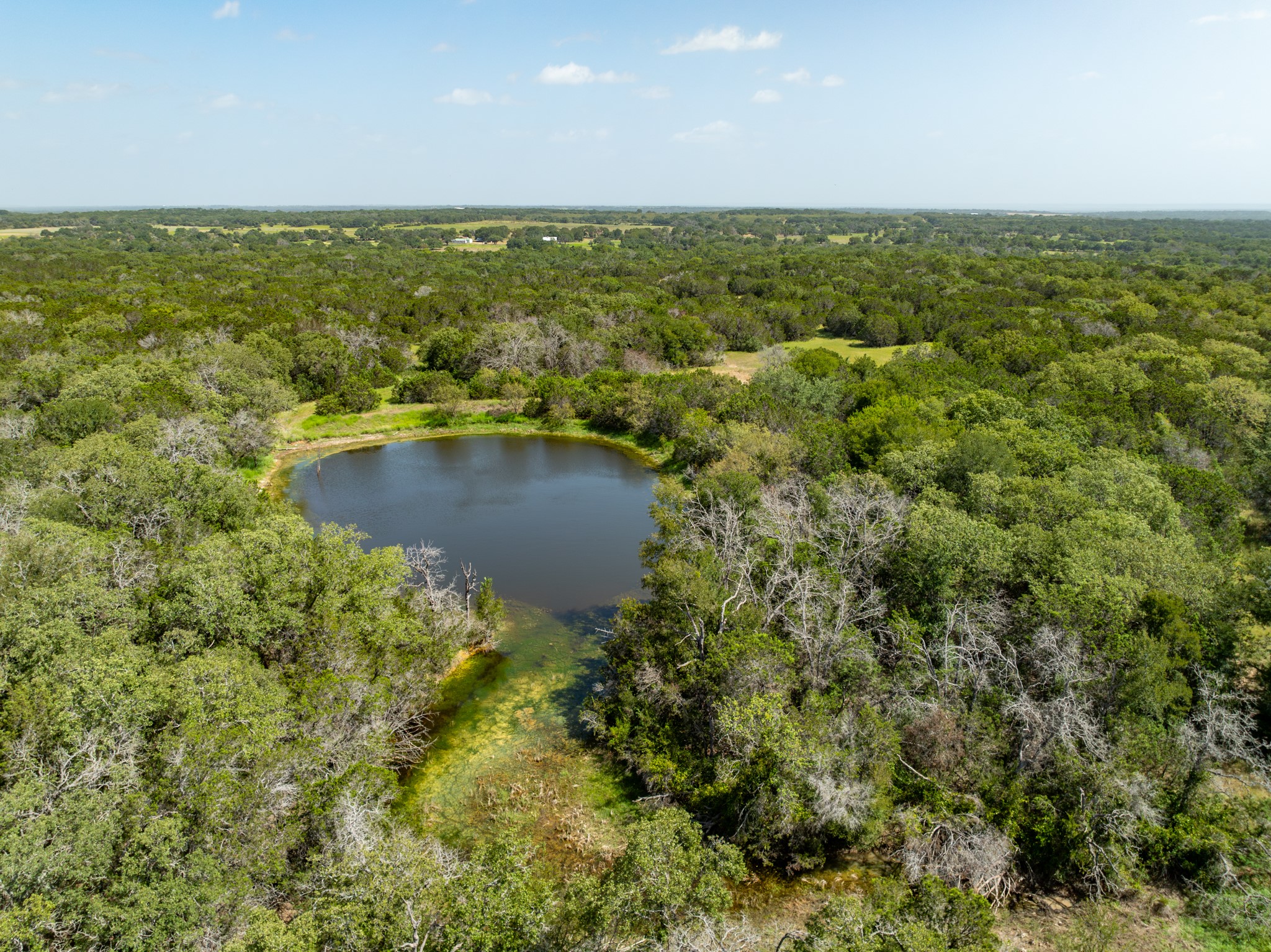 Tbd Pr 1002 Purmela TX 76566