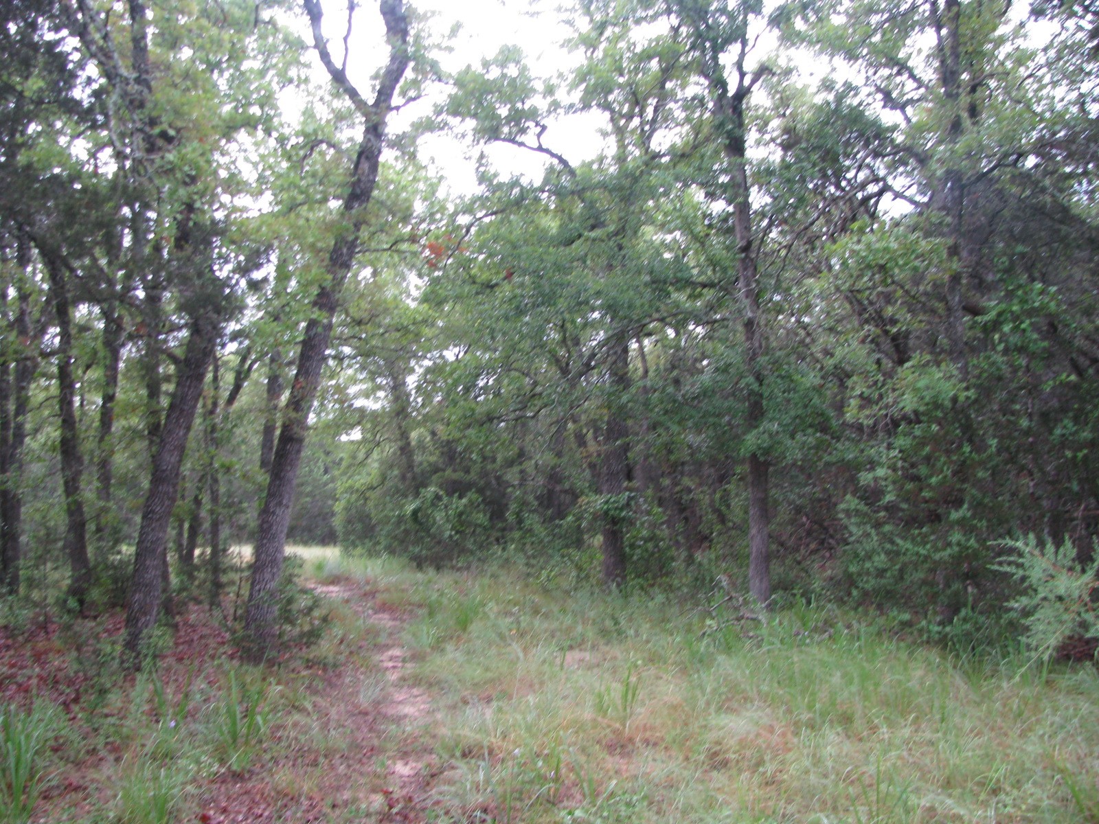 Tbd Pr 1002 Purmela TX 76566