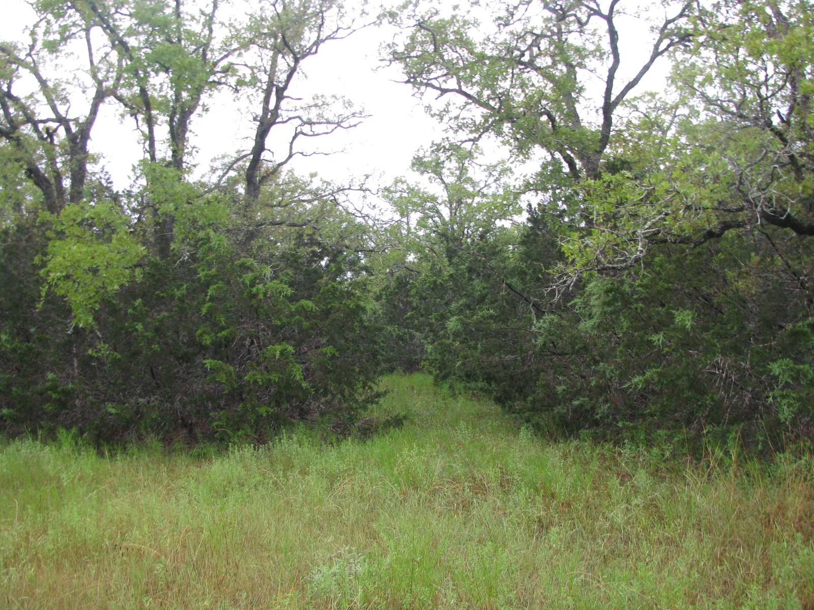 Tbd Pr 1002 Purmela TX 76566