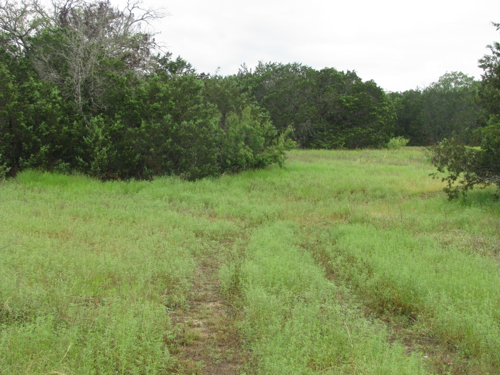 Tbd Pr 1002 Purmela TX 76566
