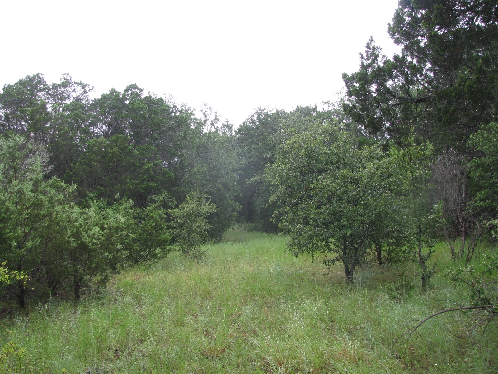 Tbd Pr 1002 Purmela TX 76566