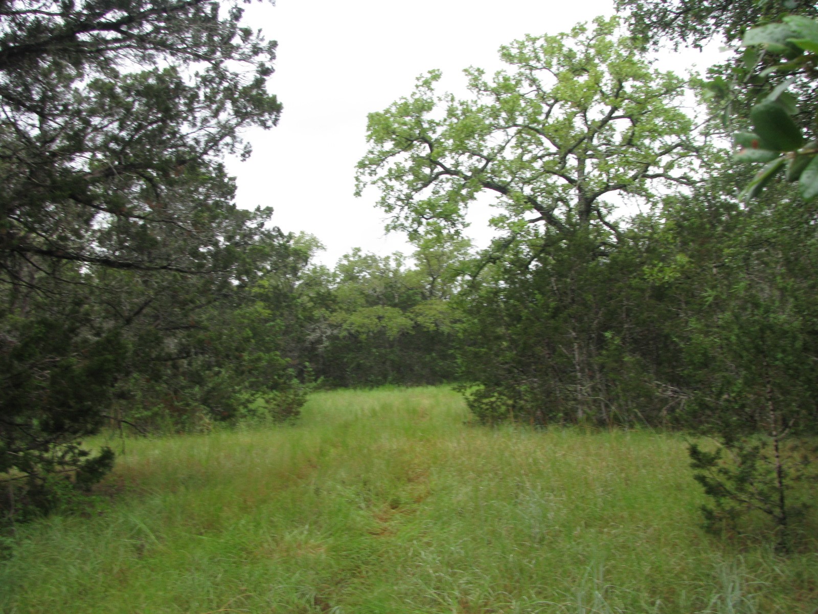 Tbd Pr 1002 Purmela TX 76566