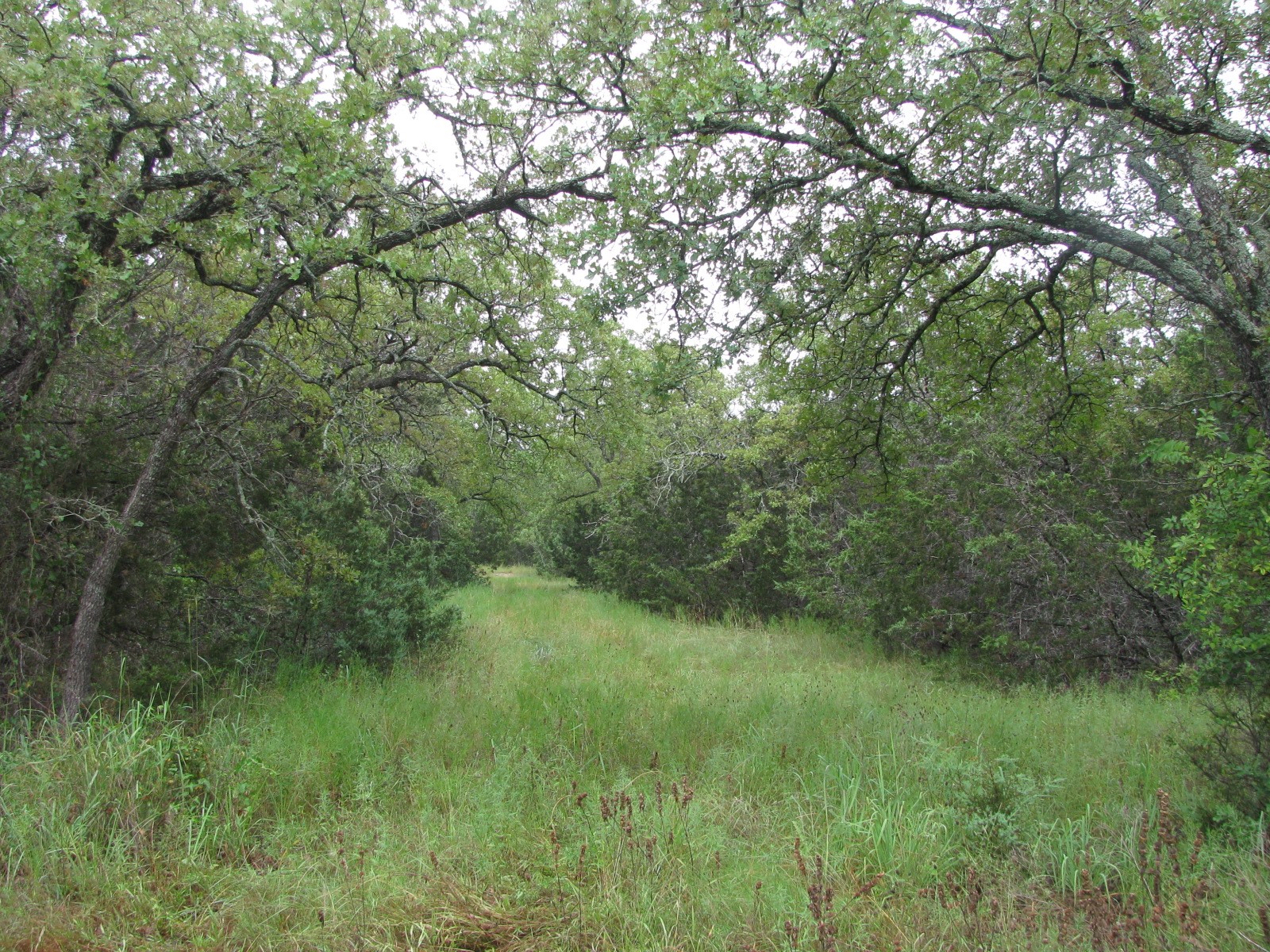 Tbd Pr 1002 Purmela TX 76566