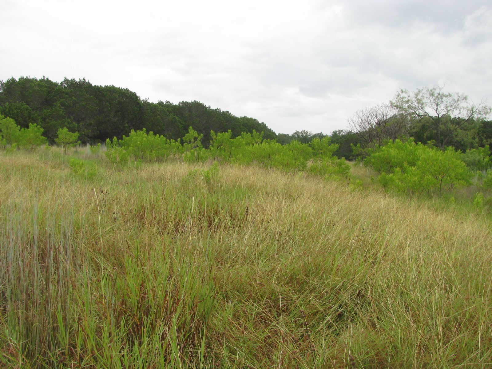 Tbd Pr 1002 Purmela TX 76566