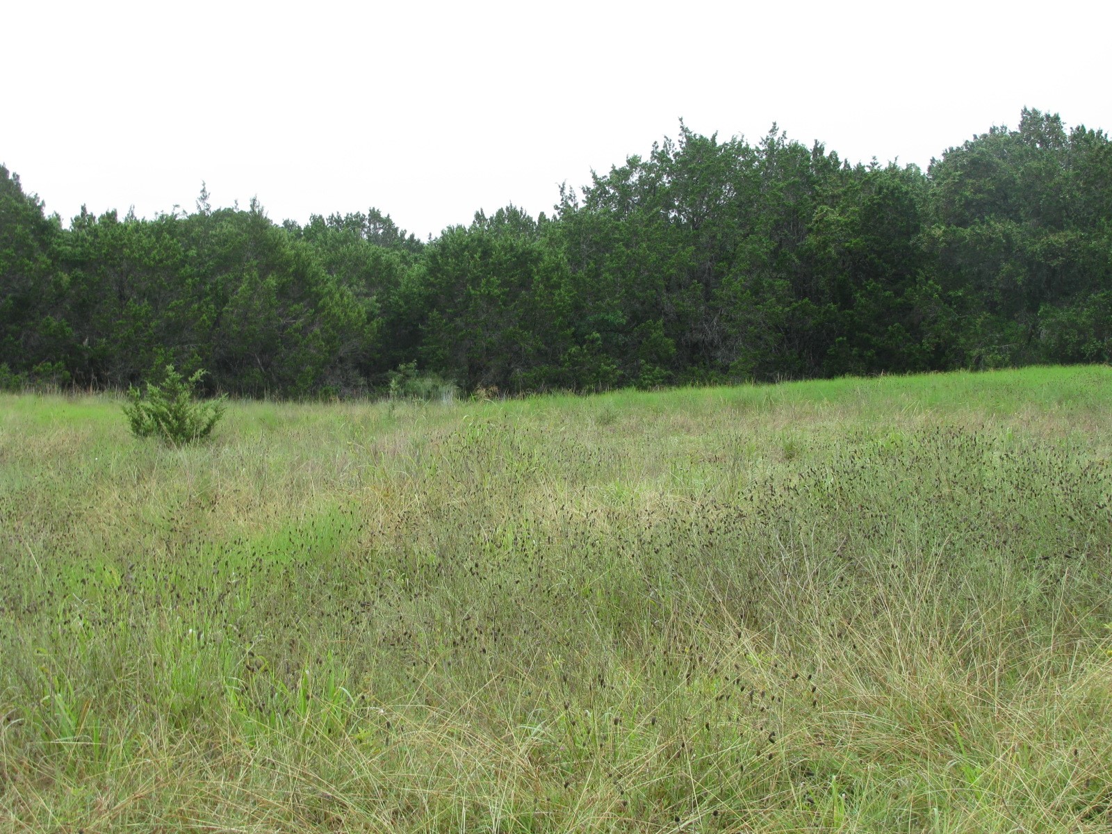 Tbd Pr 1002 Purmela TX 76566