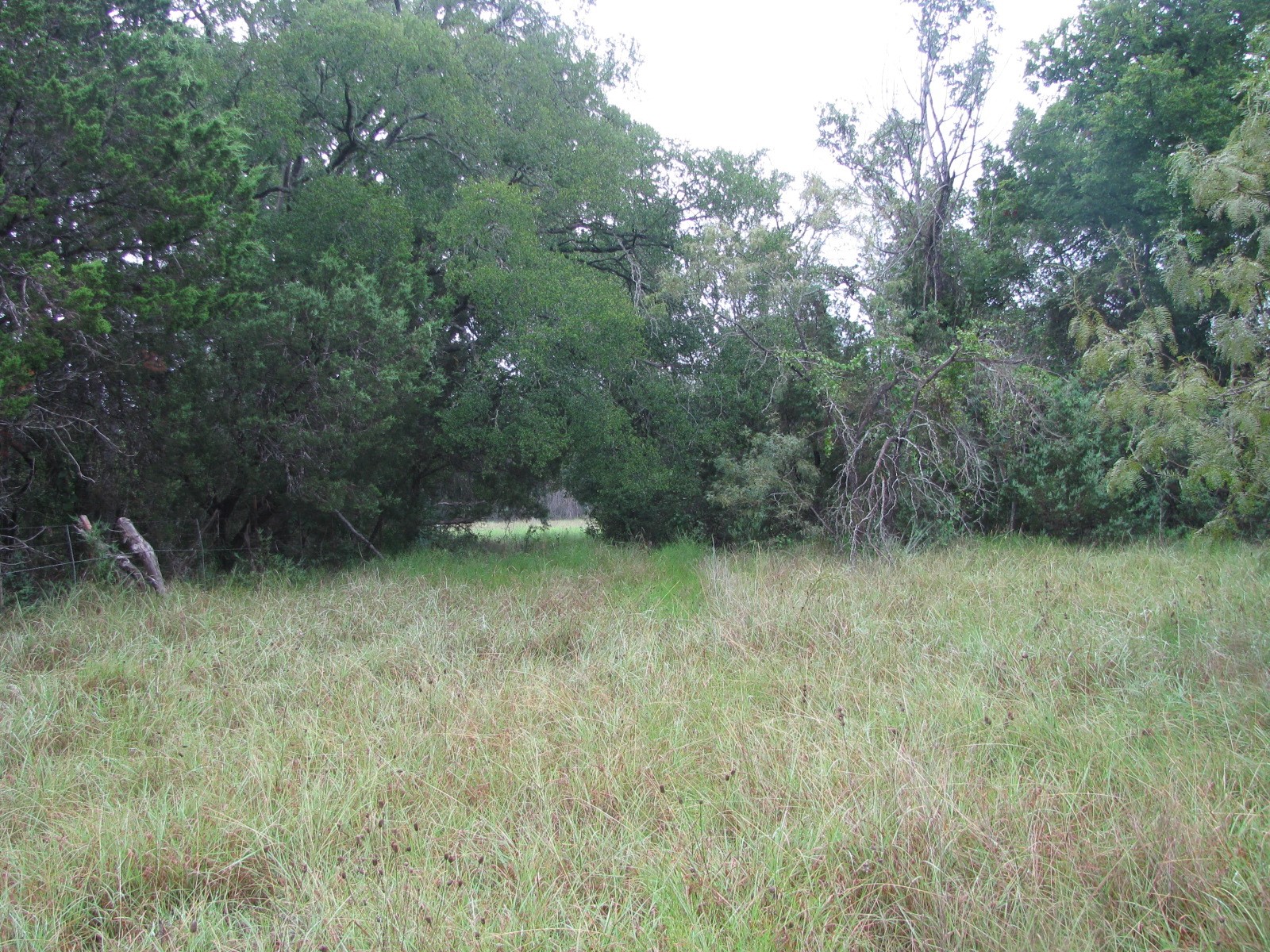 Tbd Pr 1002 Purmela TX 76566