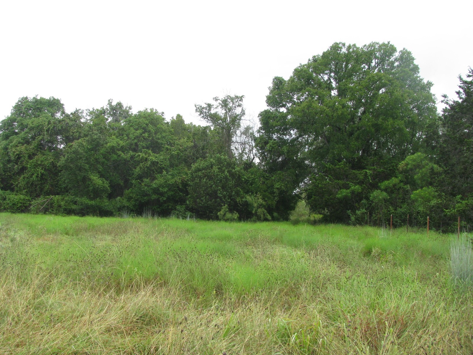 Tbd Pr 1002 Purmela TX 76566