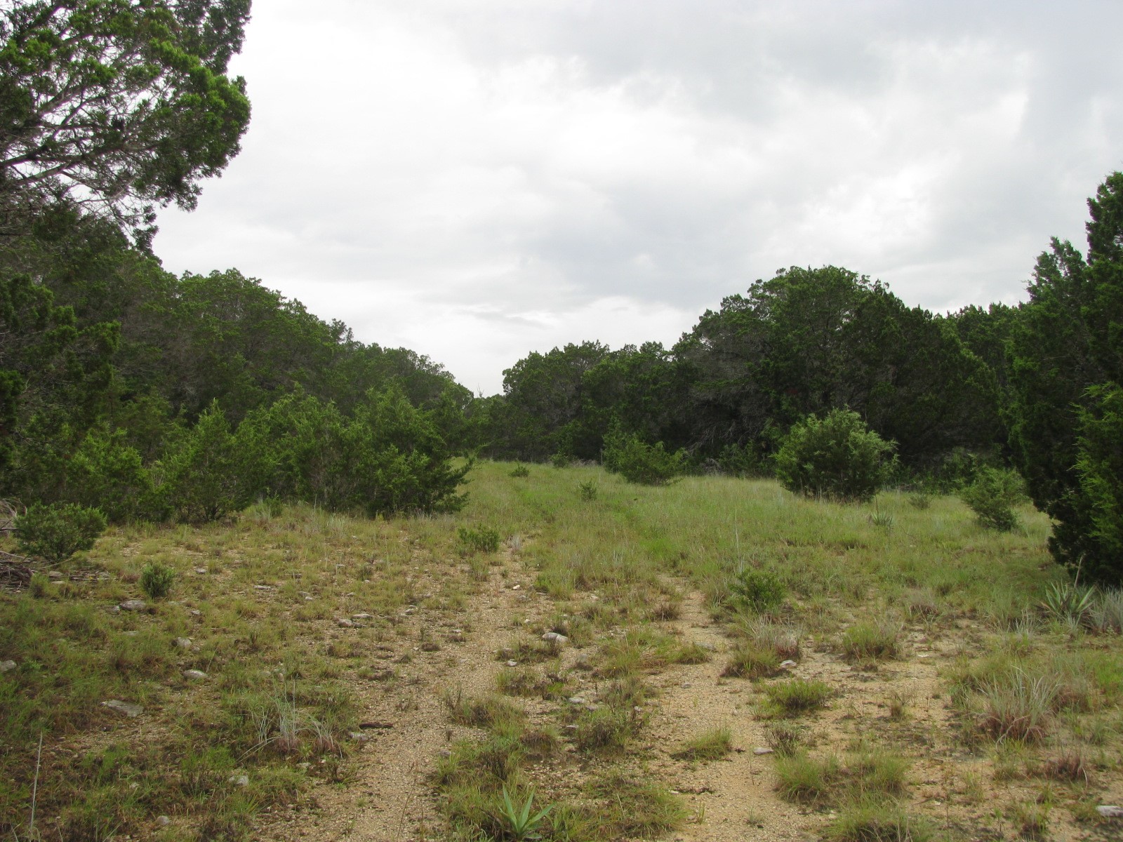 Tbd Pr 1002 Purmela TX 76566