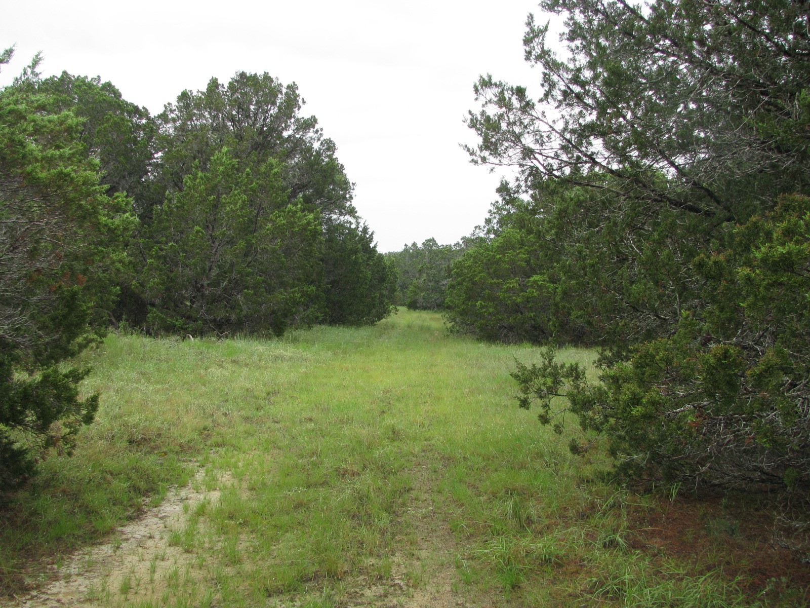 Tbd Pr 1002 Purmela TX 76566