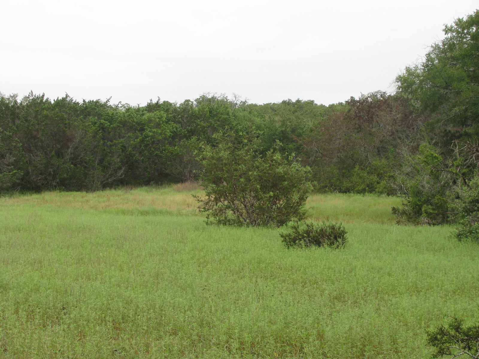 Tbd Pr 1002 Purmela TX 76566