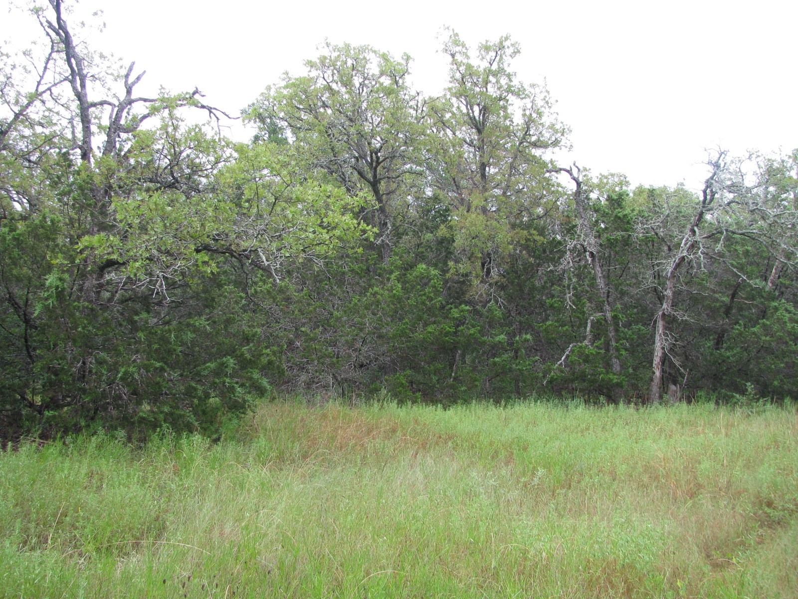 Tbd Pr 1002 Purmela TX 76566