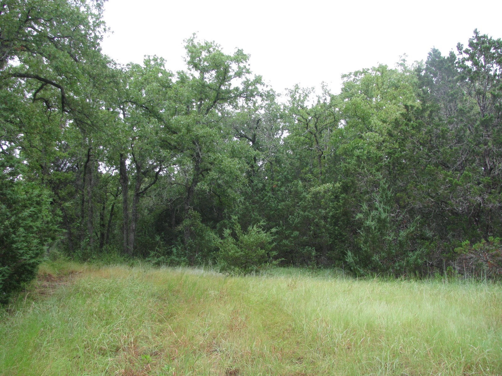 Tbd Pr 1002 Purmela TX 76566
