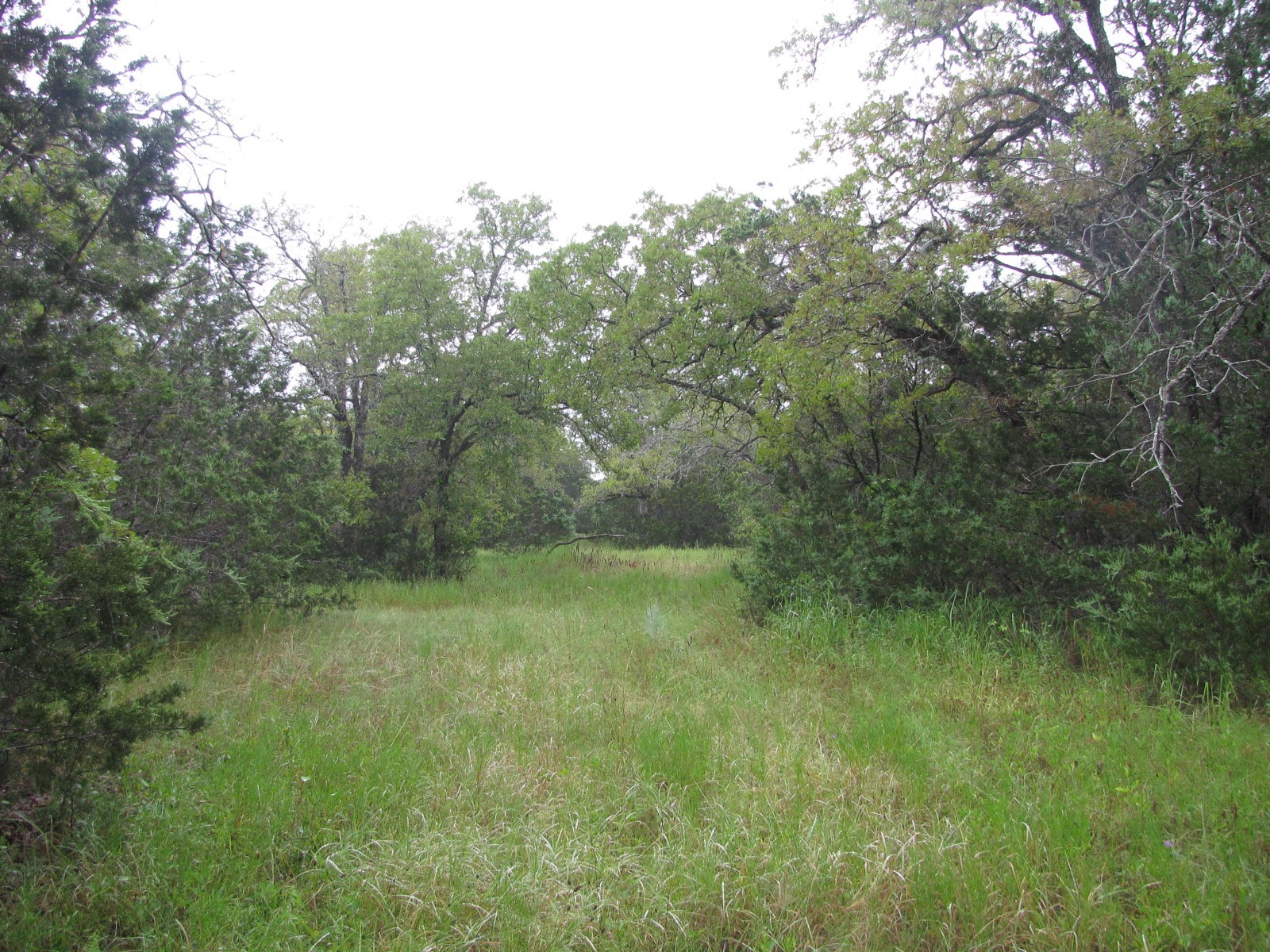 Tbd Pr 1002 Purmela TX 76566