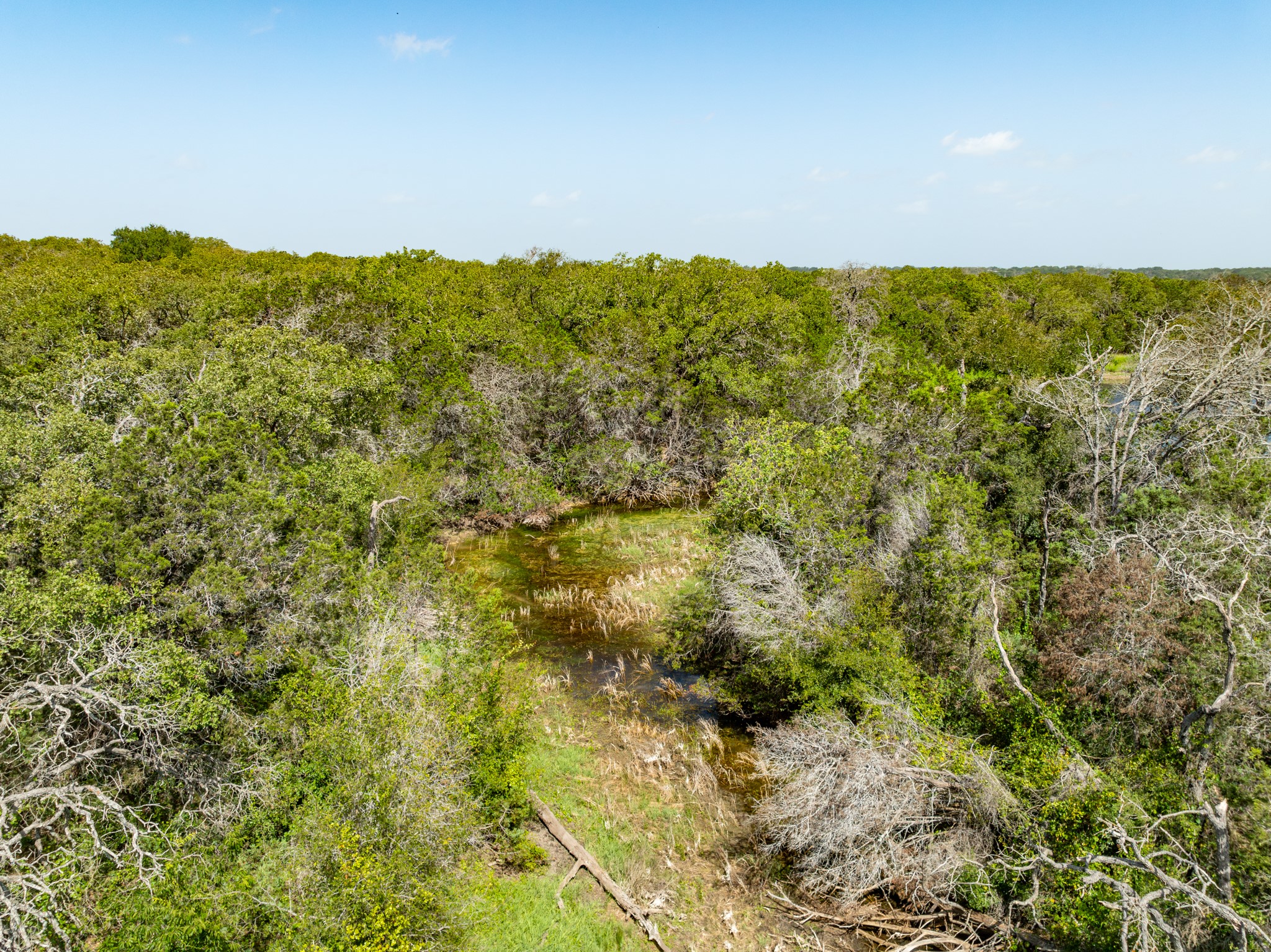 Tbd Pr 1002 Purmela TX 76566