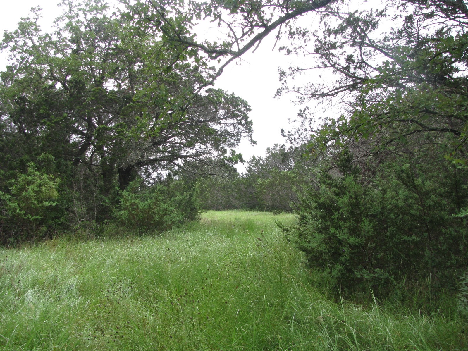 Tbd Pr 1002 Purmela TX 76566