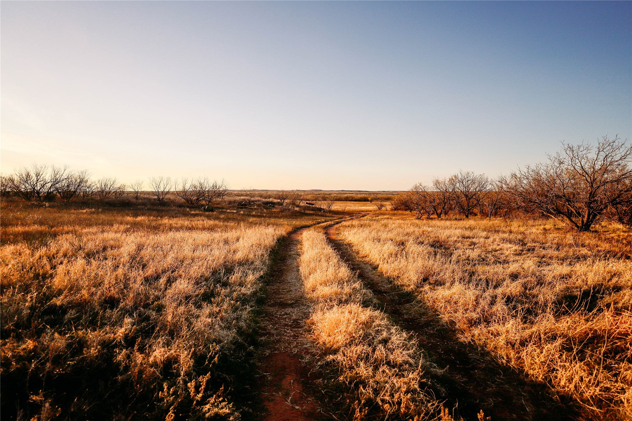 14657 County Road 433 Merkel TX 79536