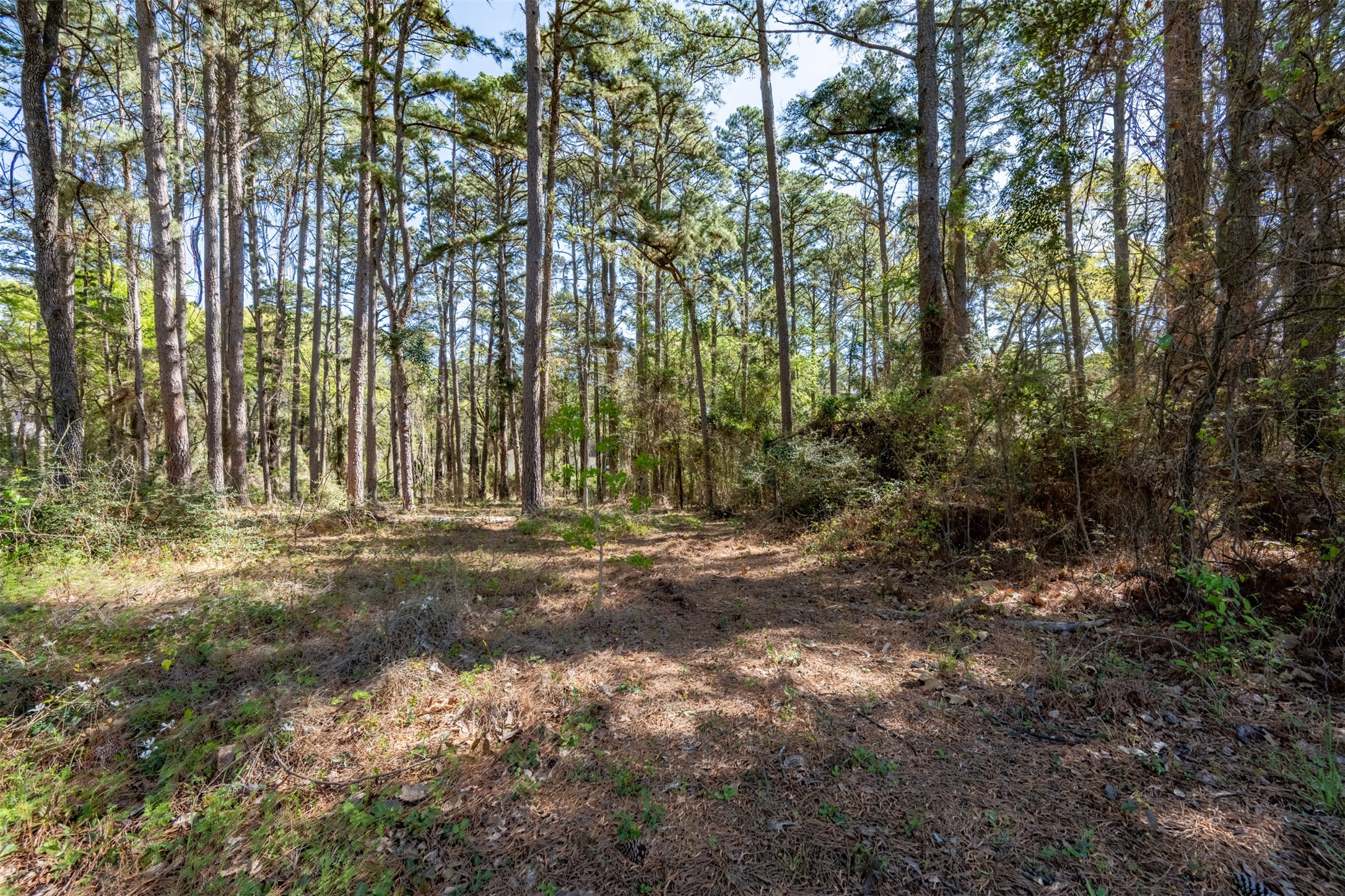18591 Lazy Lane Flint TX 75762