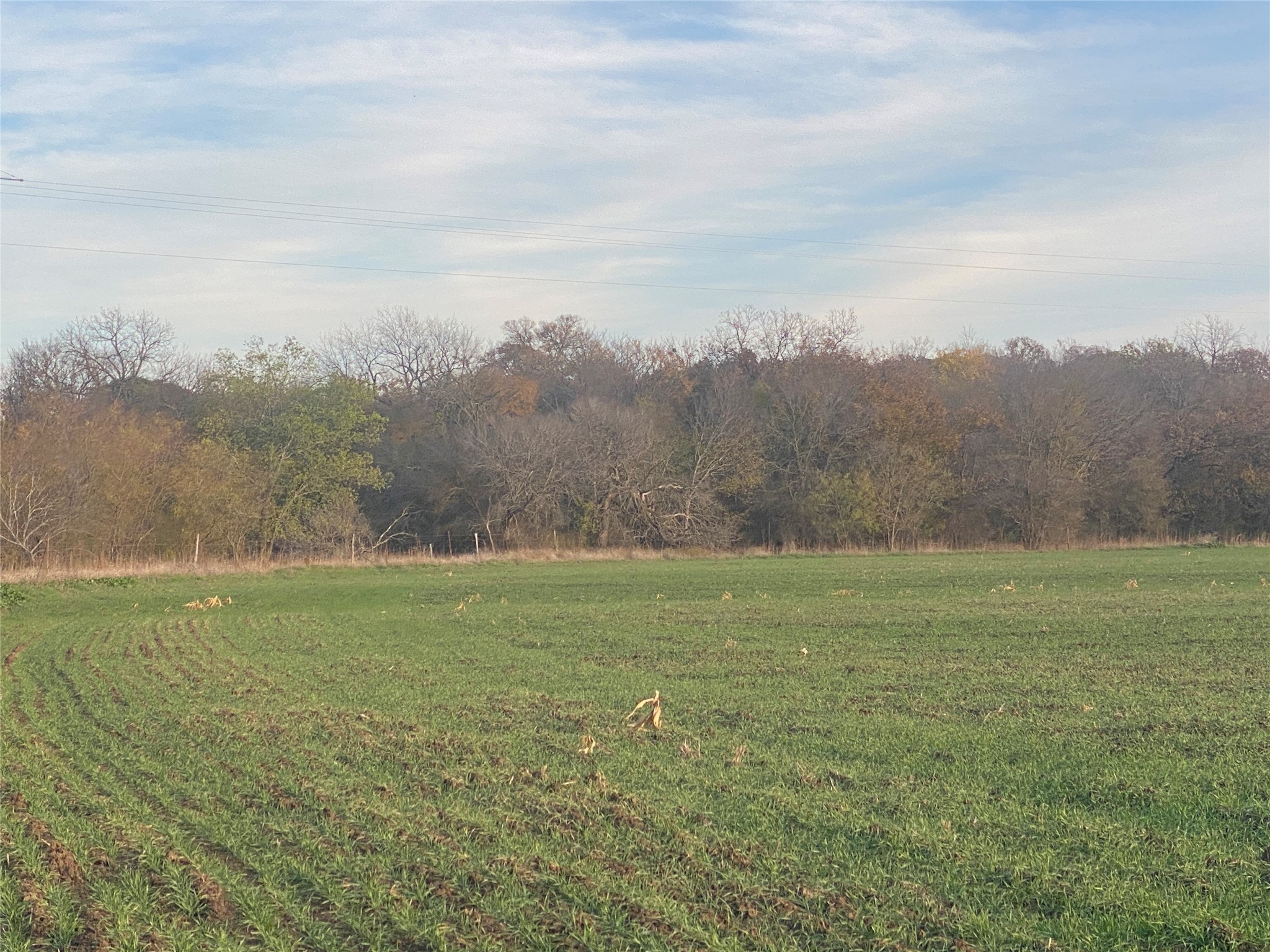 1251 #5 Cr 360 Gustine TX 76455