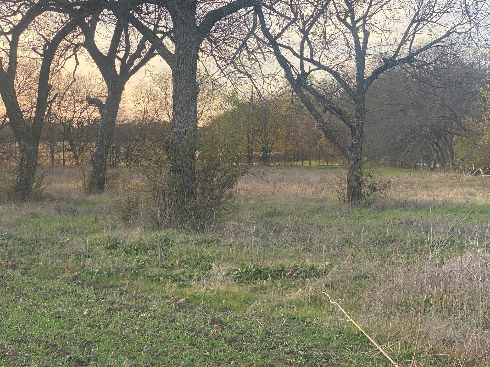 1251 #5 Cr 360 Gustine TX 76455