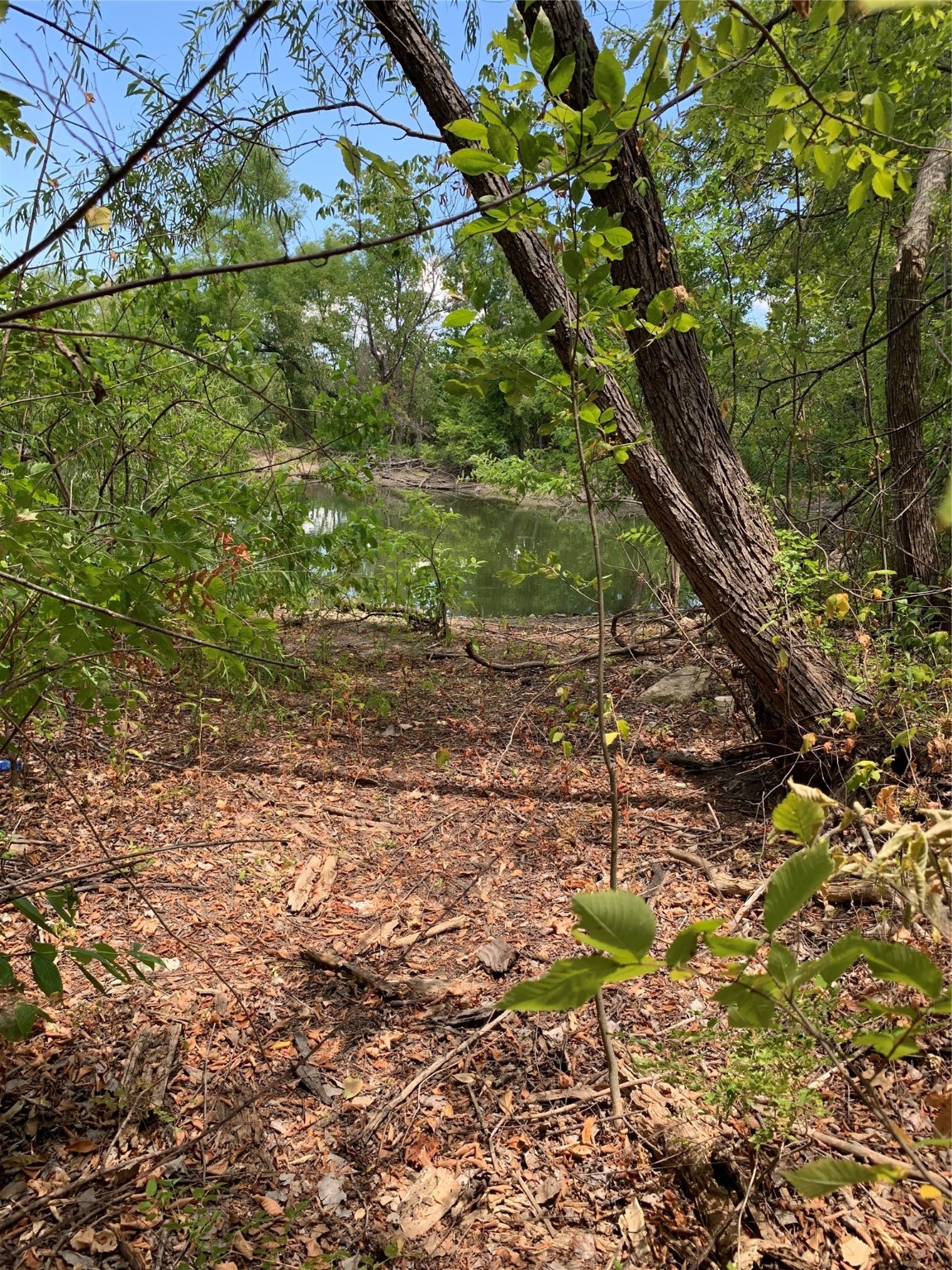 3294 Cedar Bend Wills Point TX 75169